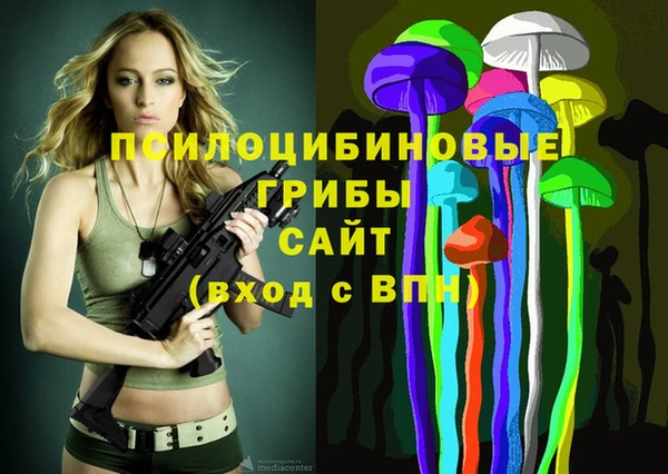 герыч Абаза