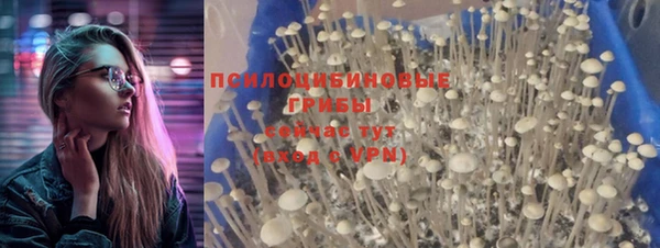 герыч Абаза